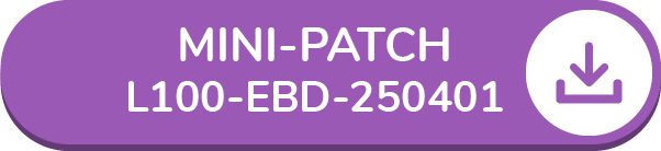 Mini patch L100-EBD-250401