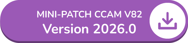 Mini-Patch ccam v82 v2026.0