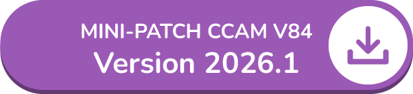 Mini Patch CCAM v84