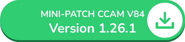 Mini Patch CCAM v84